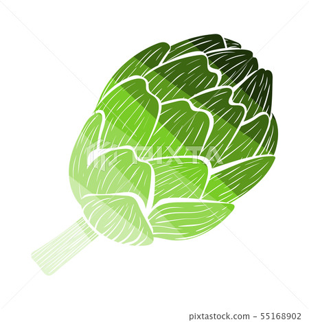 Artichoke Icon Artichoke Icon 55168902