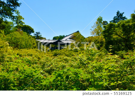 Tofuku-ji Temple Washokuen和Tsutenbashi Tofuku-ji Temple Washokuen和Tsutenbashi 55169125