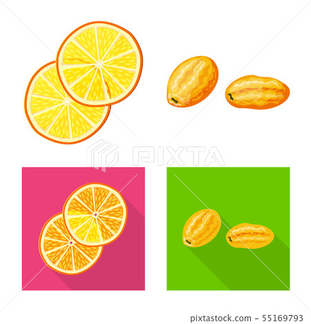 Isolated object of food and raw icon. Set of food and nature vector icon for stock. Isolated object of food and raw icon. Set of food and nature vector icon for stock. 55169793