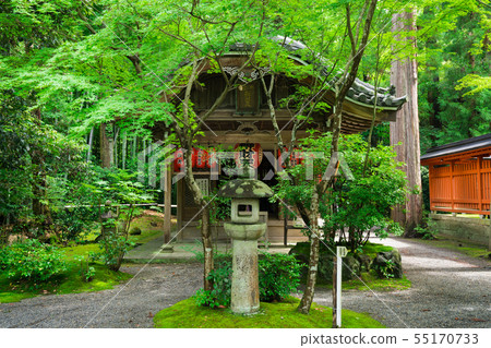 Kyoto Akayama Zenin Summer 55170733