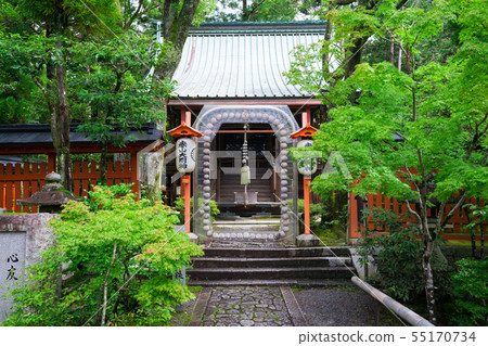 Kyoto Akayama Zenin Summer 55170734