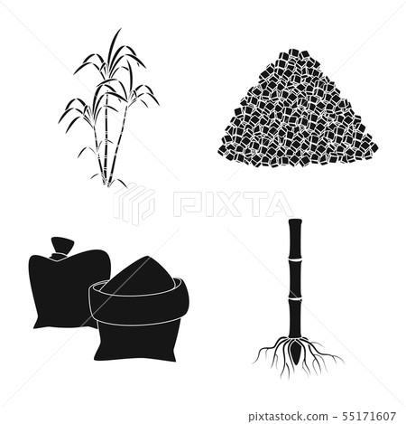 Vector design of sucrose and technology symbol. Set of sucrose and cane vector icon for stock. Vector design of sucrose and technology symbol. Set of sucrose and cane vector icon for stock. 55171607