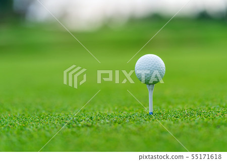 Golf ball on tee ready to be shot at golfcourt Golf ball on tee ready to be shot at golfcourt 55171618