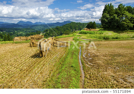 Otsuki,Joetsu的梯田 Otsuki,Joetsu的梯田 55171894