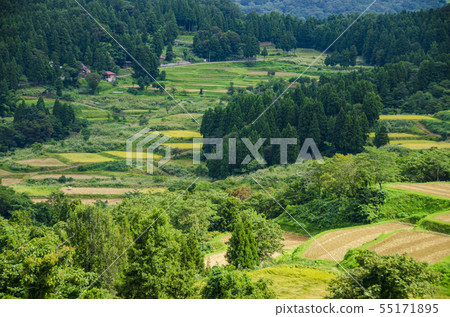 Otsuki，Joetsu的梯田 55171895