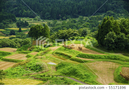 Otsuki,Joetsu的梯田 Otsuki,Joetsu的梯田 55171896