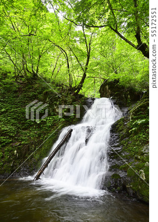 Utsue第48瀑布Otonataki（岐阜縣高山市） 55172551