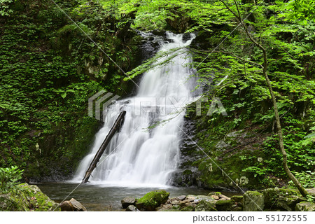 Utsue第48瀑布Otonataki（岐阜縣高山市） 55172555