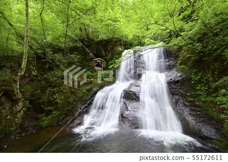 Utsue Shijohachitaki Upper Falls(岐阜縣高山市) Utsue Shijohachitaki Upper Falls(岐阜縣高山市) 55172611