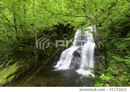 Utsue Shijohachitaki Upper Falls（岐阜縣高山市） 55172622