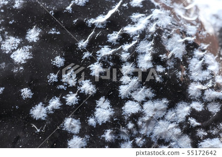 Obsidian Cristobal Stone Obsidian Cristobal Stone 55172642