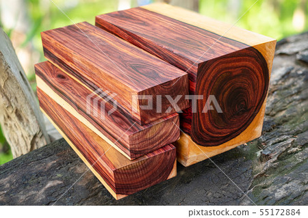 Wood logs of Burmese rosewood Wood logs of Burmese rosewood 55172884