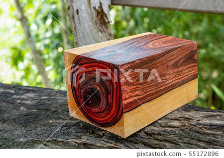 Wood logs of Burmese rosewood Wood logs of Burmese rosewood 55172896