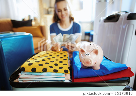 Closeup on piggybank and woman counting money in background Closeup on piggybank and woman counting money in background 55173913