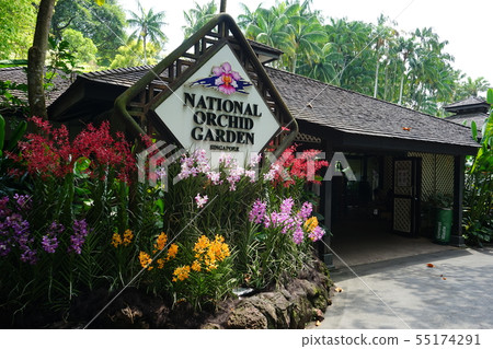 National Orchid Garden 55174291