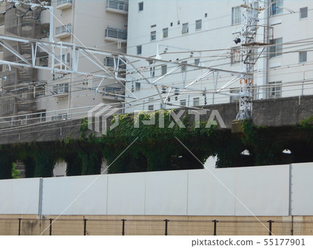 Green dress 55177901