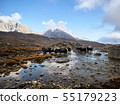 Yaks carrying loads on the way to the Everest base camp, Everest region, Himalayas, Nepal. 55179223