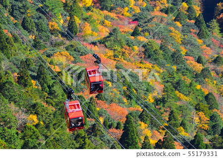 Aki Goshoshotake 55179331