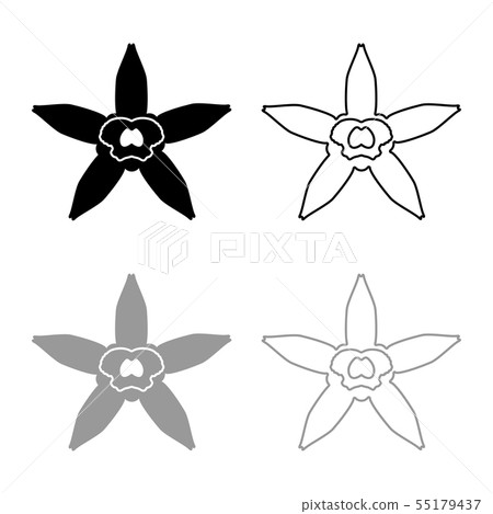 Vanilla flower icon outline set black grey color Vanilla flower icon outline set black grey color 55179437