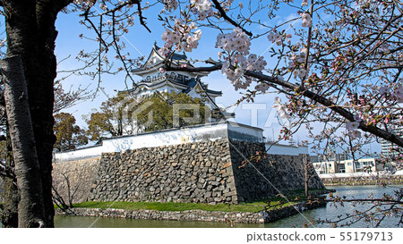 岸和田城堡在早春 岸和田城堡在早春 55179713