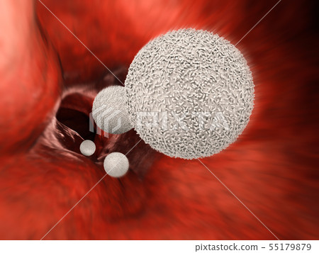 white blood cells in vein 55179879