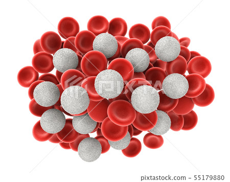 white blood cells with red blood cells 55179880