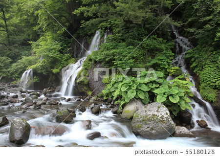 Yamanashi Prefecture Kiryu Falls Yamanashi Prefecture Kiryu Falls 55180128