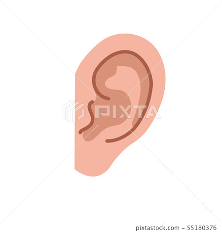 Body parts illustration Ear - Stock Illustration [55180376] - PIXTA