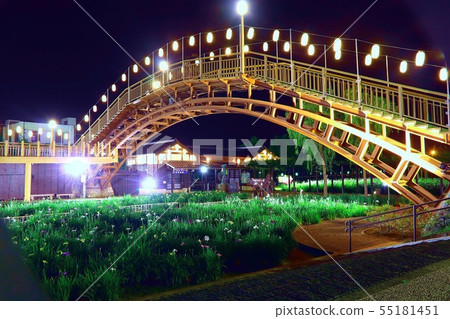 Lighted up bridge and iris Lighted up bridge and iris 55181451