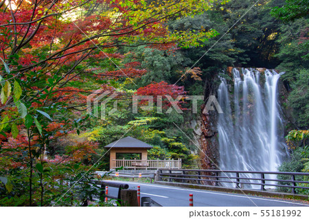 鹿兒島霧島市秋葉 55181992