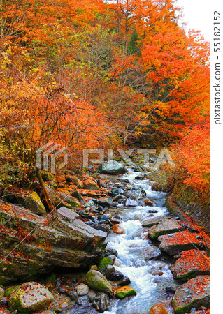 Autumn leaves of the Doshi Valley dyed red 55182152