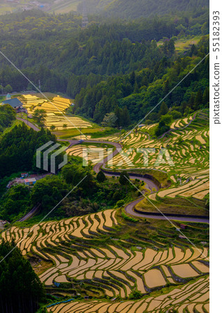 Maruyama Senjita Evening landscape Maruyama Senjita Evening landscape 55182393