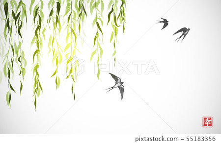 Flying swallow birds and green willow branches on white background. Traditional Japanese ink wash 55183356