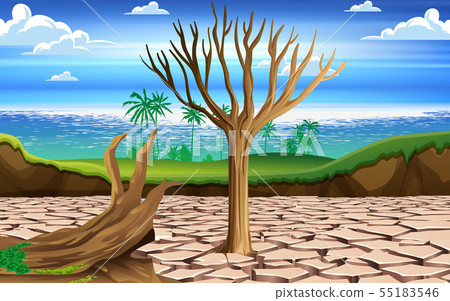 landscape of dry tree in the dry river 55183546