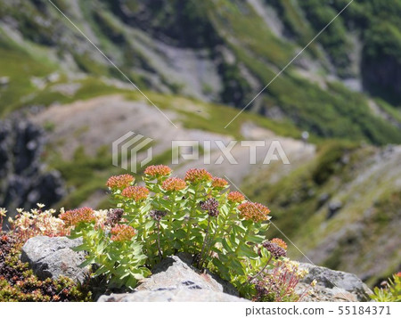 Southern Alps Mt. Shiomi mountain climbing 55184371