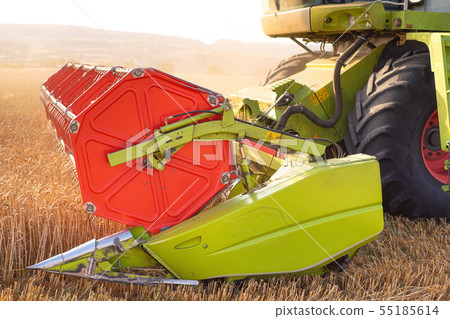 Combine harvester close up. Combine harvester harvesting wheat at sunset. Combine harvester close up. Combine harvester harvesting wheat at sunset. 55185614