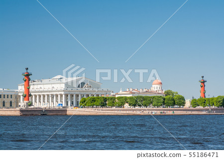 View of St. Petersburg. Rostral columns in sunny View of St. Petersburg. Rostral columns in sunny 55186471