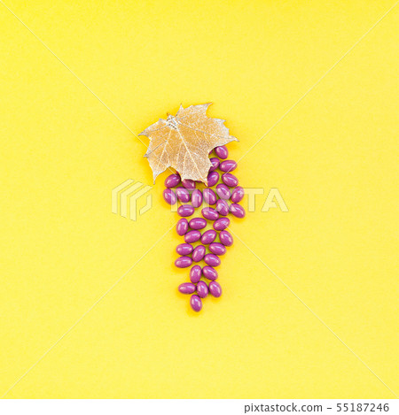 Nutritional supplement Grape seed extract pills 55187246