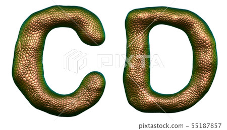Letter set C, D made of realistic 3d render natural gold snake skin texture. 55187857