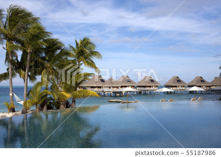 pool under palm trees on the seashore.Polynesia, T pool under palm trees on the seashore.Polynesia, T 55187986