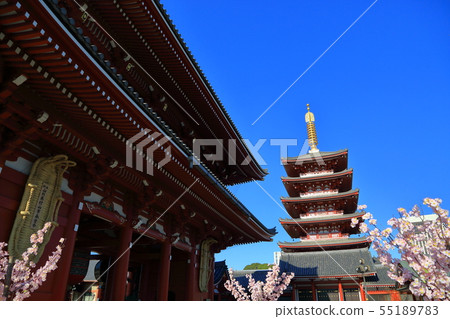 Tokyo Senso-ji Temple Five-storied pagoda 55189783