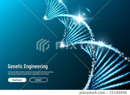 DNA structure, genetic engineering web app, vector 55189846