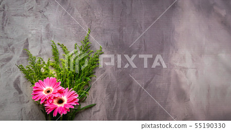 Pink Gerbera Daisies 55190330