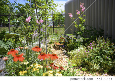 Summer garden Summer garden 55190873