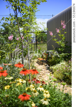 Summer garden 55190874