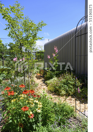 夏天的花園 55190875