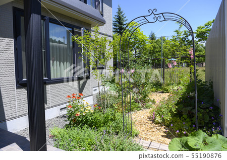 夏天的花園 55190876