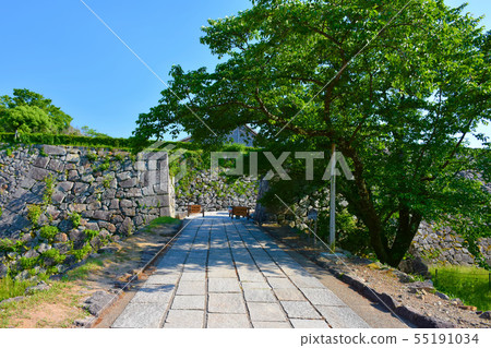 蔚山城堡蔚山城堡戴松 55191034