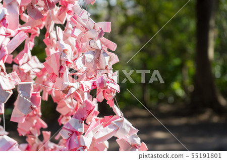 婚姻的財富 婚姻的財富 55191801