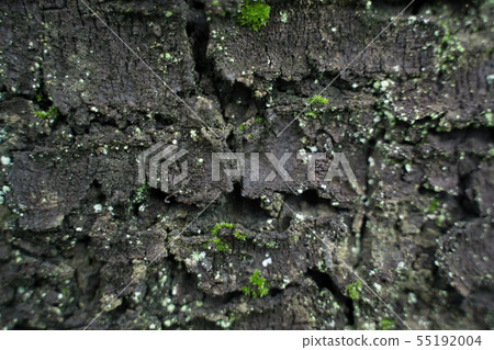 Natural materials Natural materials 55192004